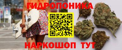 стаф Балахна