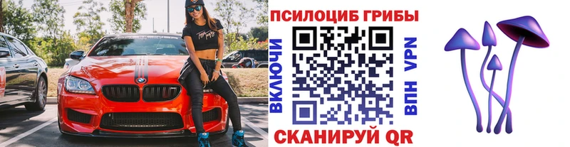 Псилоцибиновые грибы Cubensis Анапа