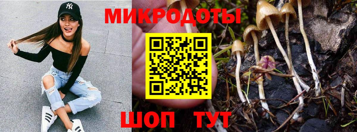 Галлюциногенные грибы Magic Shrooms Анапа