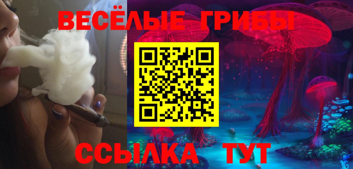 Псилоцибиновые грибы MAGIC MUSHROOMS  Вход с VPN  Анапа 